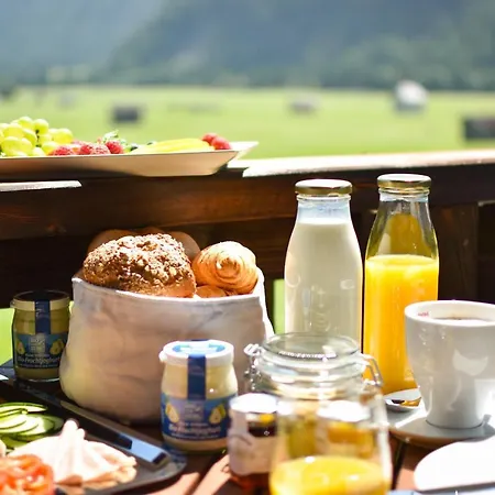 Naturparkgut Apartment Holzgau